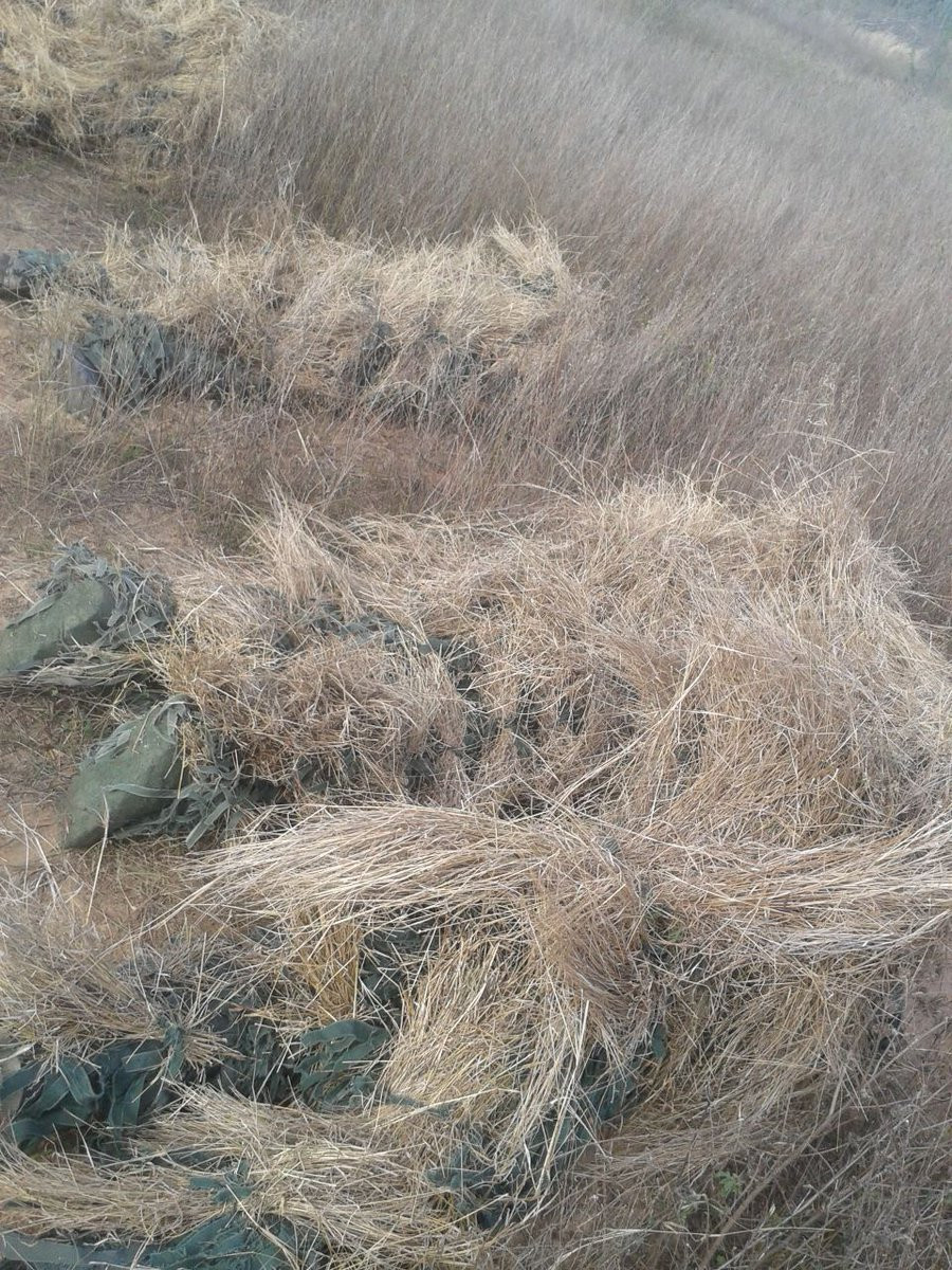 Ngụy trang. Nguồn ảnh: Otvaga