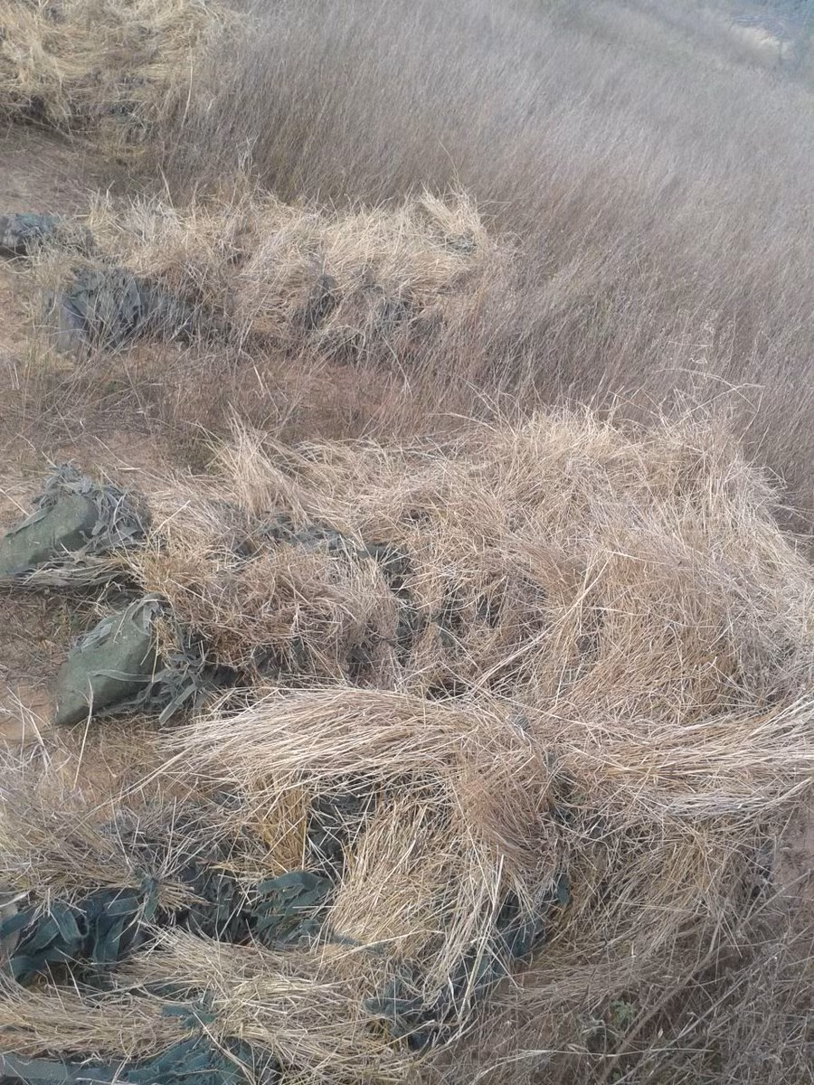 Ngụy trang. Nguồn ảnh: Otvaga