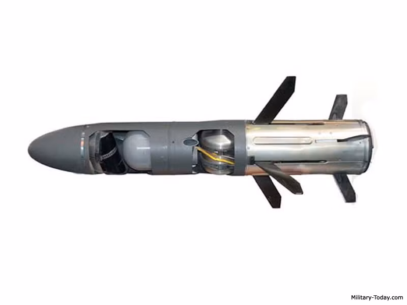 Tên lửa chống tăng RBS 56 BILL có hình thoi dài, có 4 cánh giữa thân và 4 cánh đuôi lái đạn, có thể hoạt động trong môi trường khắc nghiệt, nhiệt độ -30 độ C tới + 60 độ C. Tên lửa đặt trong container có thể bảo quản suốt 15 năm. Nguồn ảnh: Military-Today