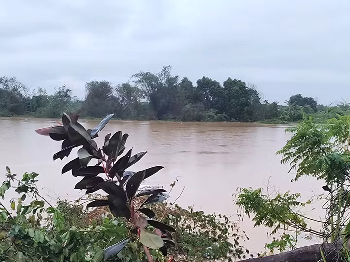 Chia sẻ với PV, ông Cao Đức Trí - 62 tuổi sống tại khu vực bãi Phúc Tân - Ba Đình cho biết: "Ngay trong đêm 9/9, sau khi nhận thấy nước bắt đầu dâng, gia đình tôi đã di chuyển đồ đạc, tài sản và sơ tán người lên nhà họ hàng xung quanh". 