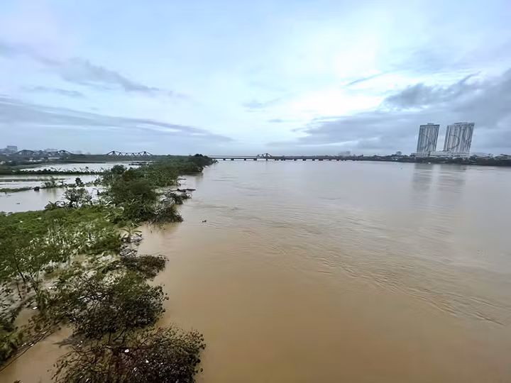 "Con nước năm nay theo tôi đánh giá cũng chẳng kém trận lụt lịch sử của Thủ đô năm 2008. Nhìn bãi giữa ngập ngang đầu cây chuối là biết nước lũ năm nay to ra sao", ông Trí cho biết thêm. 