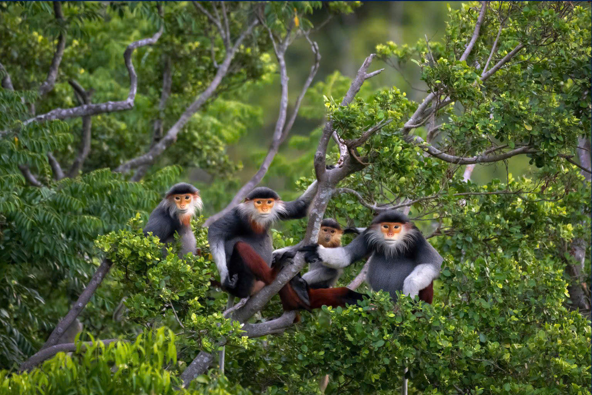 “Những bức ảnh trao gửi yêu thương” gây quỹ ủng hộ đồng bào bị bão lũ - Hình 5 “Nhung buc anh trao gui yeu thuong” gay quy ung ho dong bao bi bao lu-Hinh-5