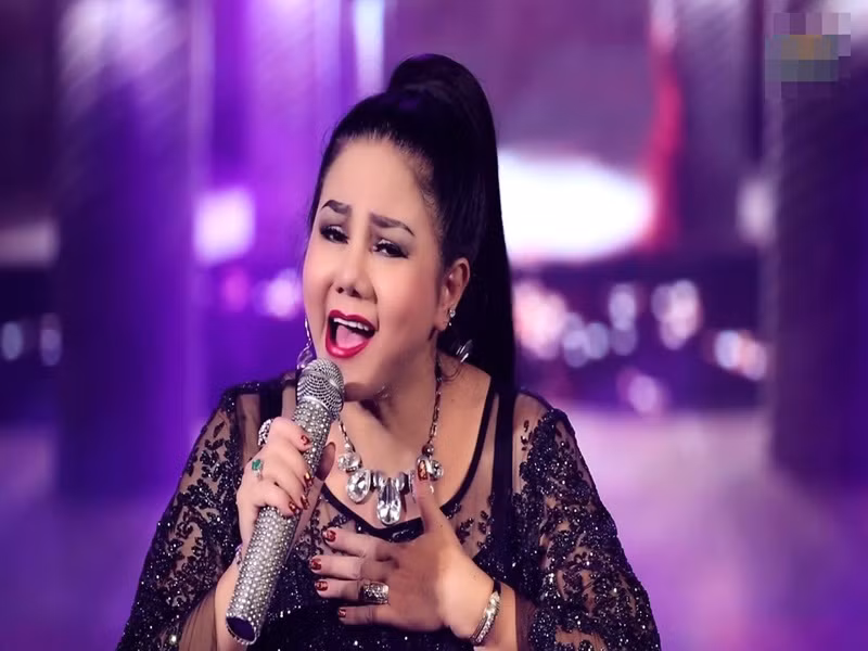 Ngọc Ánh là một trong những ca sĩ đầu tiên ở Sài Gòn có máy nhắn tin và điện thoại bàn. Cô cũng là một trong những nghệ sĩ đầu tiên ở Việt Nam sở hữu điện thoại di động, chiếc Ericson được mua với giá 3 cây vàng. Ảnh: Zing