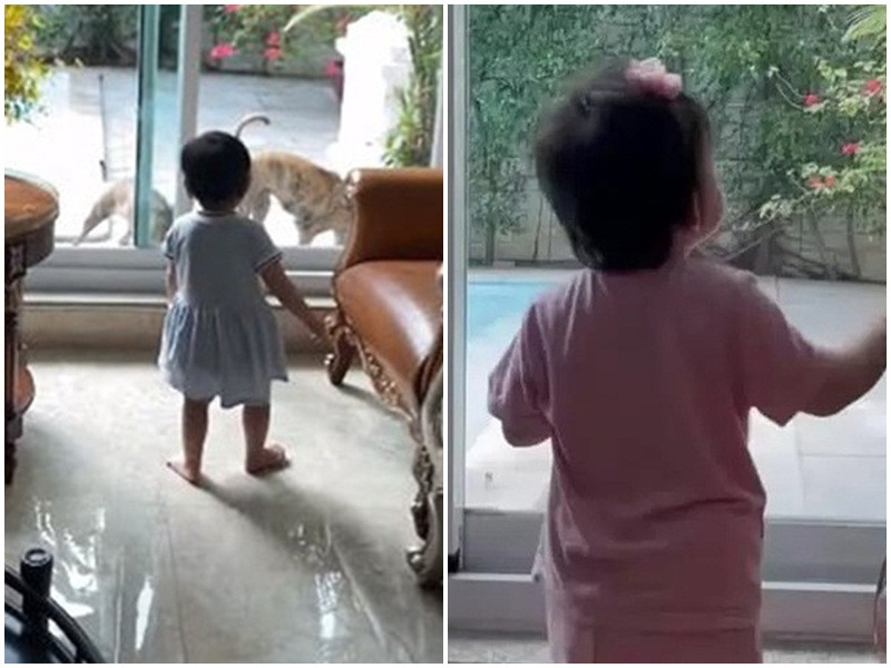 Vợ chồng Quách Ngọc Ngoan vẫn giấu kín hình ảnh cô con gái chung. Theo nam diễn viên tiết lộ, con gái có gương mặt rất điện ảnh, được hai chị cùng mẹ khác cha cưng chiều. Ngoài ra, bé Thanh Nhã ngoan và ít quấy khóc. Cô nhóc đặc biệt thích nghe bố hát ru trước khi đi ngủ.