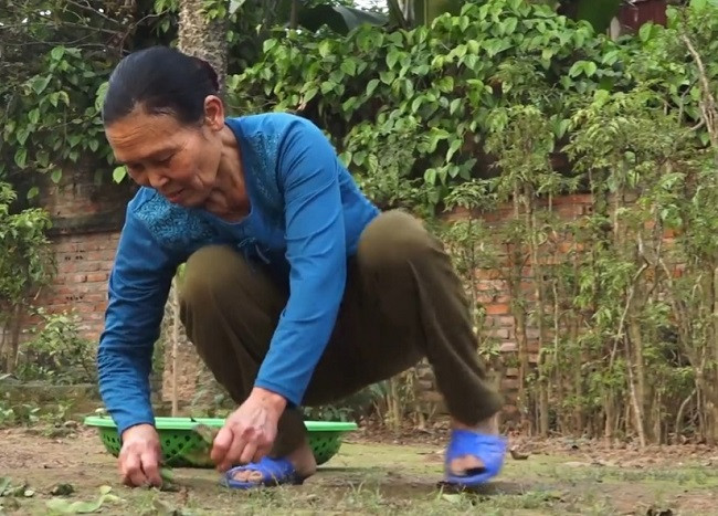 Trong cay giu dat bat ngo “hai ra tien”, nhat la ban ca trieu dong/kg-Hinh-4