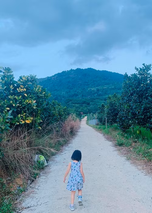 Trước đó, Phan Như Thảo chia sẻ hình ảnh cùng chồng và con đi khảo sát đất. "Đường vừa mở ra là Bồ Câu mơ ngay một căn nhà trên ngọn đồi bên bìa rừng thơ mộng nha", cô nhắn nhủ ông xã.