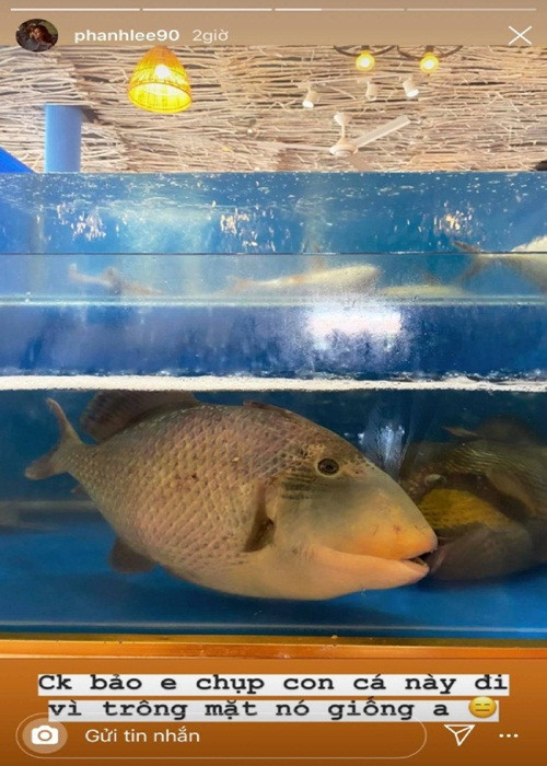 Nữ diễn viên còn trêu đùa ông xã. "Chồng bảo em chụp con cá này đi vì trông mặt nó giống anh", Phanh Lee hài hước. Từ những gì Phanh Lee chia sẻ, cuộc sống hôn nhân của cô luôn tràn ngập hạnh phúc khi được ông xã chiều chuộng.