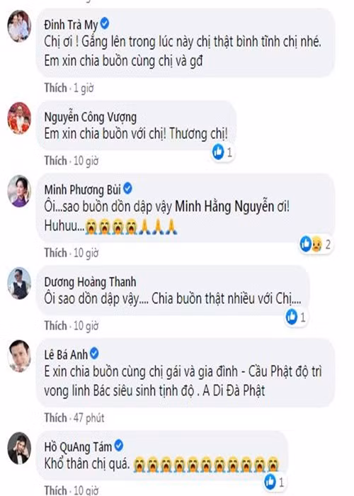 Nghệ sĩ Trà My viết: "Chị ơi, gắng lên trong lúc này, chị thật bình tĩnh chị nhé. Em xin chia buồn cùng chị và gia đình". Ca sĩ Hồ Quang Tám an ủi: "Khổ thân chị quá".