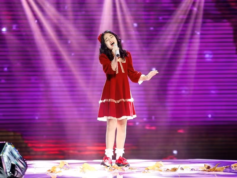 Hà Anh từng múa hát, nhảy trong một số chương trình truyền hình như Giai điệu tự hào, Gala 10 năm Trái tim cho em, Lắng nghe con yêu số đặc biệt 2019, Liên hoan thiếu nhi ASEAN, Nhảy cùng Bibi, Cùng nhún nhảy.