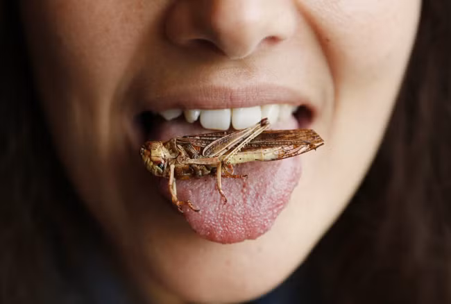 Tiet canh Viet Nam lot top mon an kinh di nhat the gioi-Hinh-4