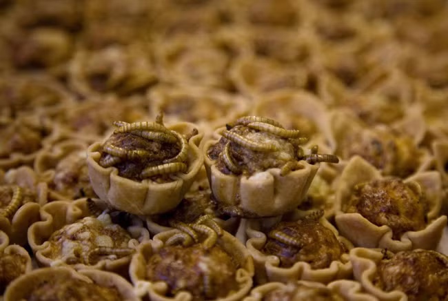 Tiet canh Viet Nam lot top mon an kinh di nhat the gioi-Hinh-7