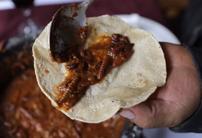 Tiet canh Viet Nam lot top mon an kinh di nhat the gioi-Hinh-2