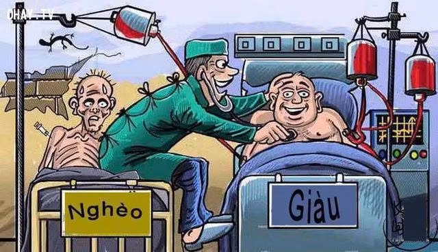 Hình ảnh nhũng su that cay dáng của dòi giúp bạn khon len