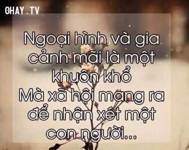 Hình ảnh nhũng su that cay dáng của dòi giúp bạn khon len-Hinh-9