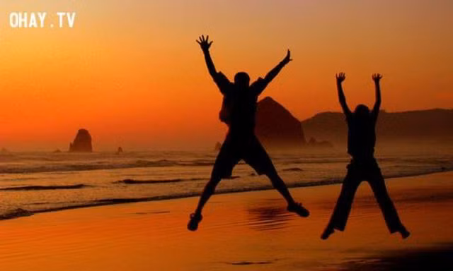 Hình ảnh nhũng su that cay dáng của dòi giúp bạn khon len-Hinh-19