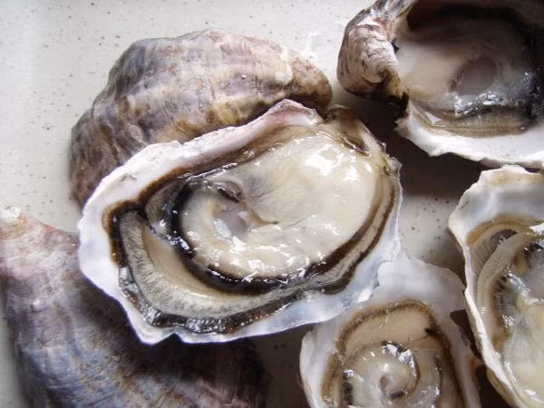 Hàu. Những chuyến đi biển mùa hè, bạn không thể bỏ qua loại thực phẩm ngon lành này. Tuy nhiên, hàu sống có thể chứa vi khuẩn parahaemolyticus Vibrio và Vibrio vulnificus, có thể gây tiêu chảy, nôn mửa, đau bụng ở những người khỏe mạnh. Đối với những người bị bệnh gan, tiểu đường, ung thư, rối loạn dạ dày hoặc bất kỳ điều kiện khác liên quan đến hệ miễn dịch, Vibrio vulnificus có thể xâm nhập vào máu, đe dọa tính mạng.