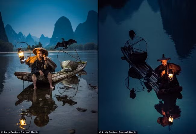 Những con chim cốc được huấn luyện để giúp ngư dân bắt cá. Sau khi bay khỏi bè, con chim sẽ lao xuống nước bắt một con cá rồi mang trở lại bè.