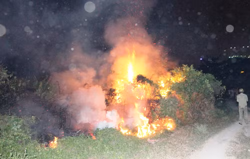 Dong co o quan 2 TP HCM boc chay, dan chay tan loan