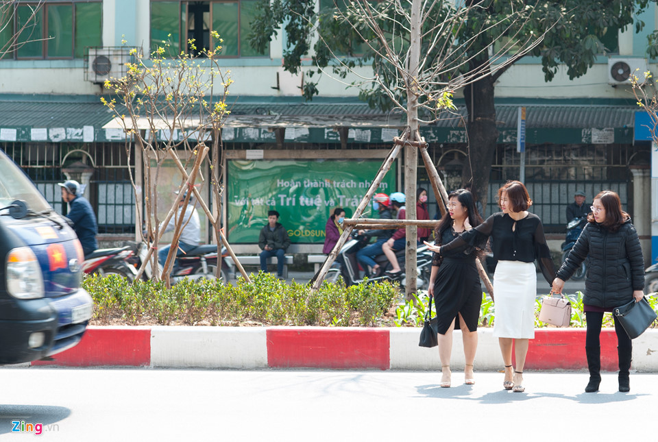 Theo cảnh sát, lực lượng chức năng chỉ có thể xử phạt người đi bộ sai luật tại khu vực đường cao tốc trên cao hay ở các giao lộ có đèn tín hiệu. Các lỗi vi phạm chủ yếu như đi dưới lòng đường, đi không đúng vạch kẻ cho người đi bộ,...