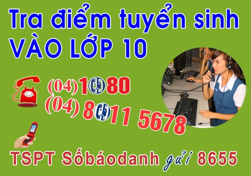 Ha Noi: Co diem thi vao lop 10, thi sinh, phu huynh co the tu tra cuu