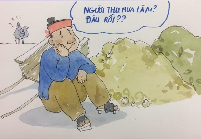 Khi tiểu thương Việt đã thu gom được một lượng hàng lớn, thương lái Trung Quốc bỗng nhiên biến mất hoặc từ chối mua, vì lý do hàng không đạt yêu cầu.