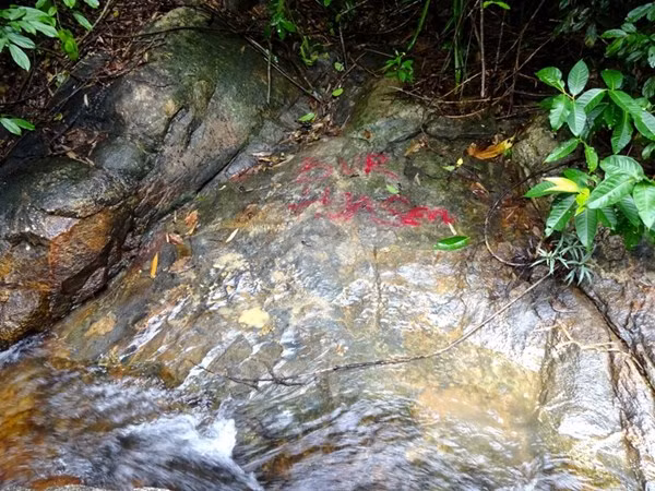 Cty ong Le Phuoc Vu ngang nhien chan nguon nuoc, rao dat cua dan-Hinh-3