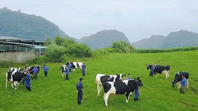 Vi pham cong bo thong tin, GTNFoods bi xu phat 70 trieu dong