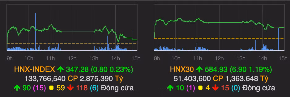 Thi truong chim sau trong sac do, VN-Index giam hon 8 diem-Hinh-2