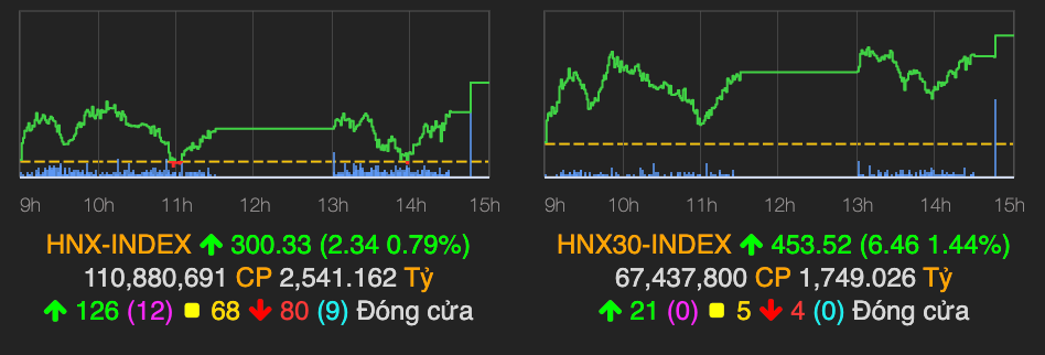 CTG but pha, VN-Index gan cham moc 1.300 diem phien 24/5-Hinh-2