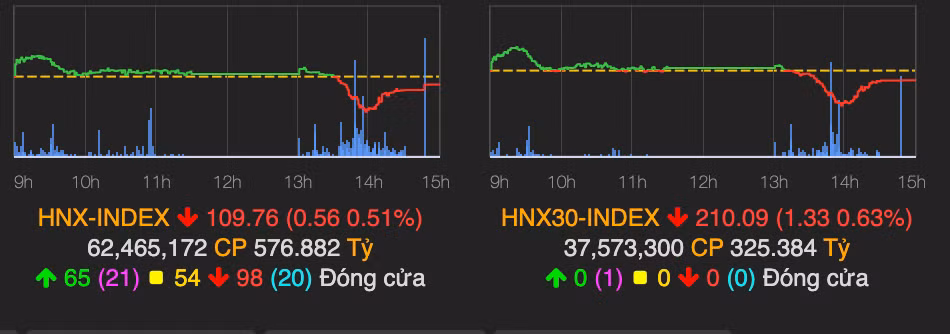 Ket phien cuoi thang 6, VN-Index dot ngot giam hon 4 diem-Hinh-2