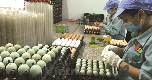 Dabaco báo lãi quý 1 gấp 17 lần cùng kỳ, cổ phiếu theo đà tăng kịch trần Dabaco bao lai quy 1 gap 17 lan cung ky, co phieu theo da tang kich tran