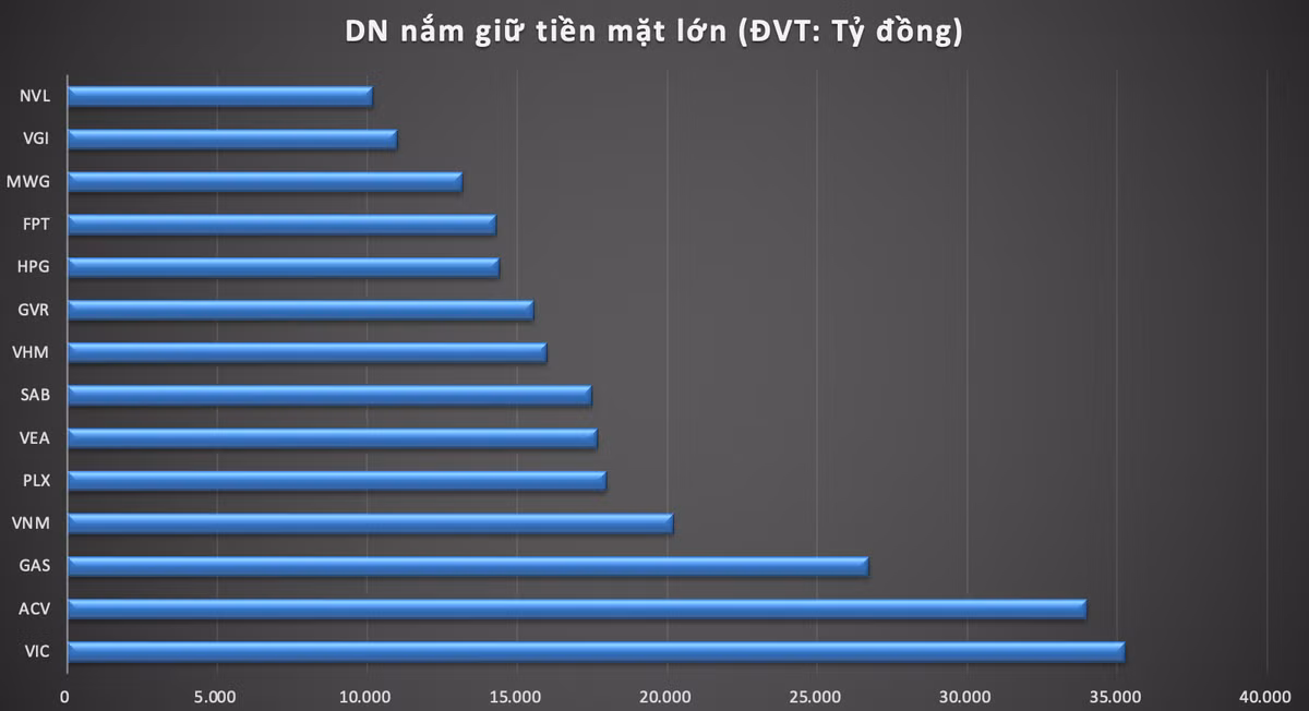Top DN so huu hon 10.000 ty dong tien mat trong dai dich