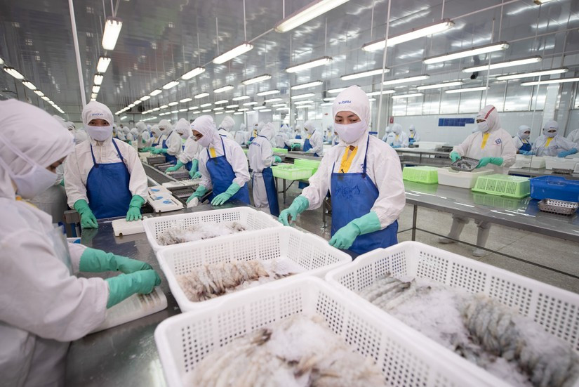 Doanh số Thực phẩm Sao Ta tháng 1 giảm 47% do đâu? Doanh so Thuc pham Sao Ta thang 1 giam 47% do dau?