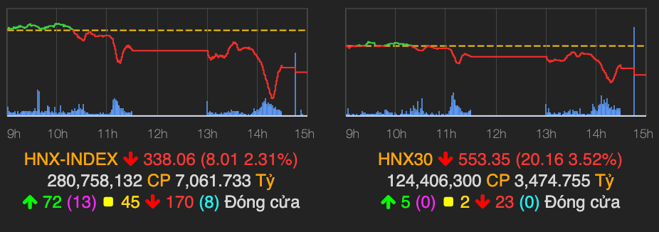 Thanh khoan ky luc gan 2 ty USD, VN-Index lao doc 45 diem phien 20/8-Hinh-2