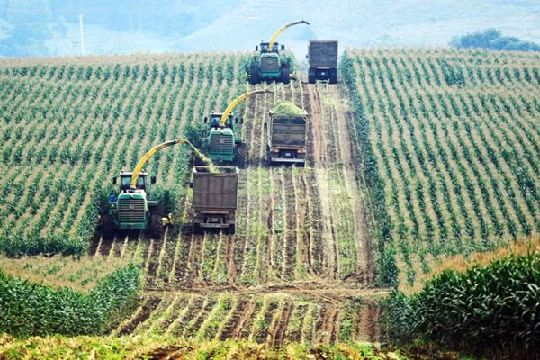 Nong san Thuc pham Quang Ngai bi phat va truy thu thue gan 1 ty dong