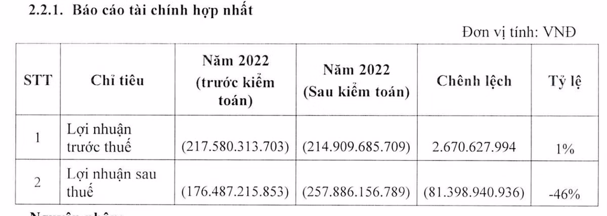 Tân Tạo: Điều chỉnh lỗ nặng thêm 750 tỷ trong 2 năm sau kiểm toán Tan Tao: Dieu chinh lo nang them 750 ty trong 2 nam sau kiem toan