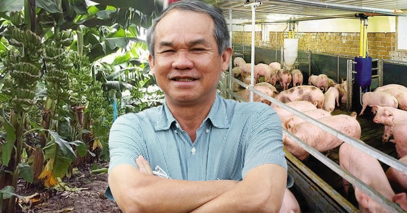 Chuoi, heo va ga giup co phieu HAGL thoat dien canh bao?