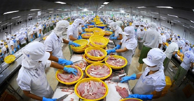 VHC: Doanh thu tháng 3 giảm 25%, riêng xuất khẩu sang Mỹ sụt 40% VHC: Doanh thu thang 3 giam 25%, rieng xuat khau sang My sut 40%