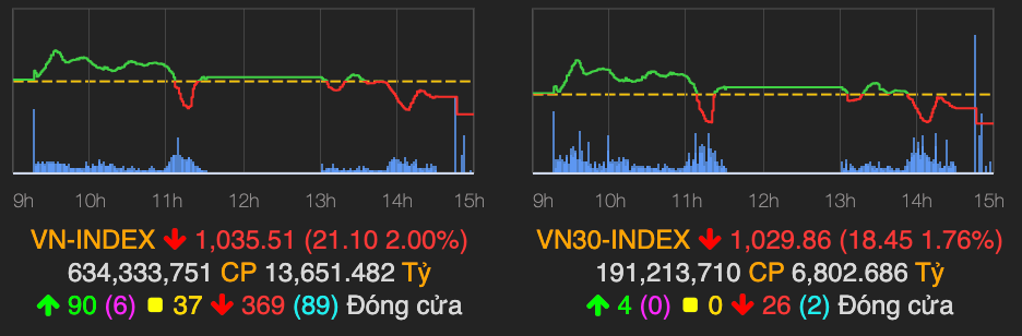 Ca thi truong do lua, VN-Index lui ve moc 1.035 diem
