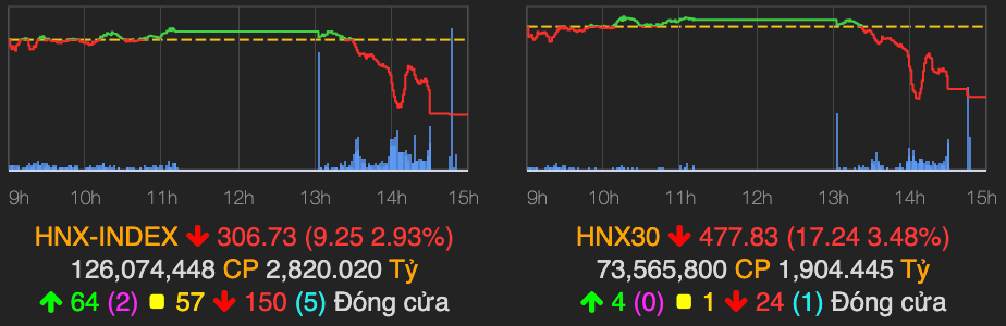 Nganh ban le tru sac xanh khi VN-Index lien tiep do day giam 27 diem-Hinh-2