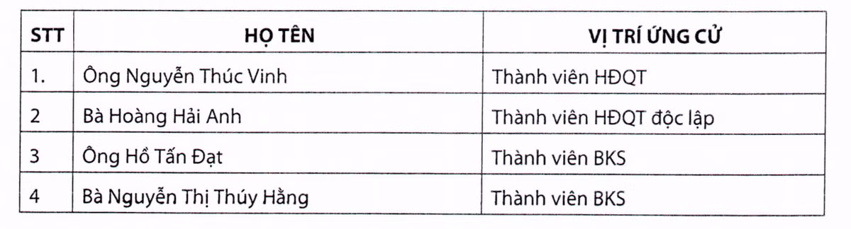 Ong Tran Le Nguyen sap roi ghe nong giua luc VDSC bao lo ky luc quy 1