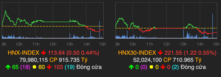 Co phieu CTD giam san, VN-Index quay dau giam diem-Hinh-2