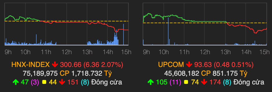 Thi truong bi ban manh, VN-Index tiep tuc giam gan 22 diem-Hinh-2