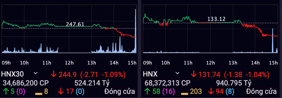 VN-Index mat gan 9 diem nhung thanh khoan ‘khung’ gan 10.000 ty dong-Hinh-2