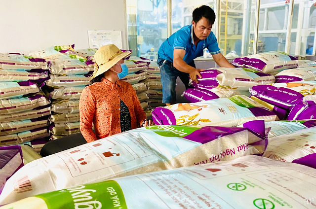 'Vua gạo' Angimex liên tục nhượng vốn công ty con, liên doanh, liên kết 'Vua gao' Angimex lien tuc nhuong von cong ty con, lien doanh, lien ket