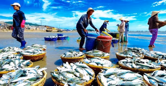 Nam Viet bao lai giam 33% trong quy 4/2019 nhung van no hang tram ty dong