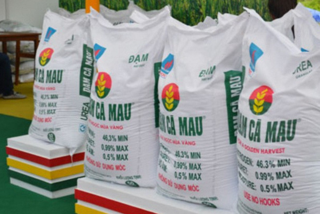 Cổ đông DCM sắp được nhận 317 tỷ đồng cổ tức Co dong DCM sap duoc nhan 317 ty dong co tuc