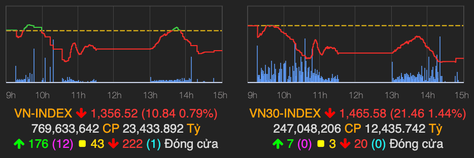Luc ban ap dao khien VN-Index mat gan 11 diem