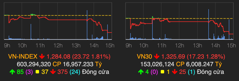 Thi truong bat ngo bi ban thao, VN-Index mat gan 24 diem phien 10/6