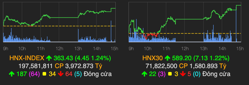 Co phieu penny dong loat day song, VN-Index tang 10 diem-Hinh-2